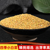 批发 四季小白菜种籽 小白菜芽苗菜  黄杨白菜籽无土栽培 整包|ms