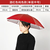 Double -layer anti -wind covered rain fishing umbrella hat head wearing umbrella sunscreen folding head, top umbrella hat outdoor sun fishing