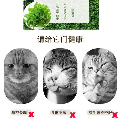 Catnip powder edible hair balls 260ml cat grass fine powder refillable cat toys cat snacks oral cleaning