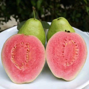 �t�İ��İŘ�5���b��� ���鷬ʯ������÷�۹��@ֱ���pƴ