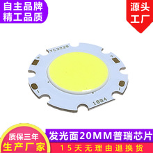 发光面20MM 直径28MM 直径32MM COB光源 COB灯珠 LED灯珠 LED光源