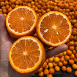 �����̵ָ�����������ˮ������9��װ��ժ���۶�֭������������