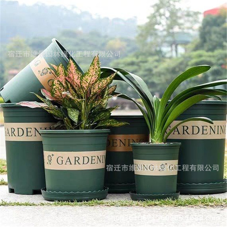 Second-generation Thickened Gallon Basin Resin Plastic Flower Pot Large Creative Personalized Rose Green Flower Pot Delivery Tray