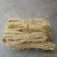 �����������S�z���Së�ٗl �����B�C�������h��ĸ�ٹ�ˇƷԭ����