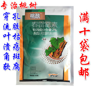 �Ҙ䯏�����z���Ҙ��O��������z�~�ݲ����䴩�׌����rș������