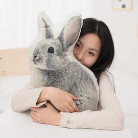 创意可爱日本小兔子抱枕 ins靠垫 高弹力抱枕 日式儿童玩偶批发