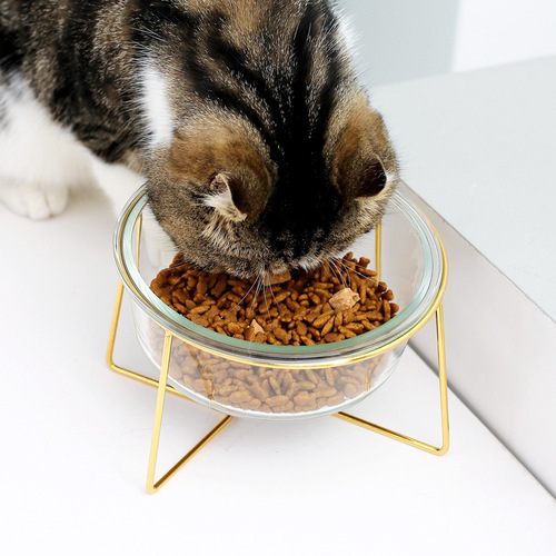 Cat bowl with slanted mouth, tilted glass pet bowl, cat food bowl, cat food bowl, cat rice bowl, dog food bowl, cervical vertebra protection high feet
