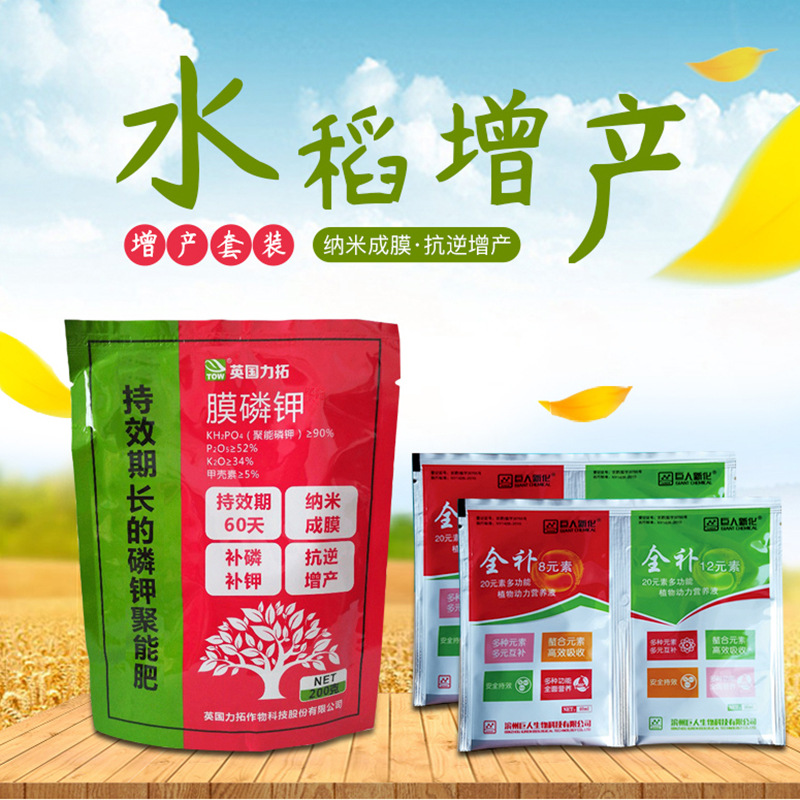水稻增产叶面肥套餐壮苗秧抗倒伏返青灌浆穗饱芸苔素乐收保凯液肥