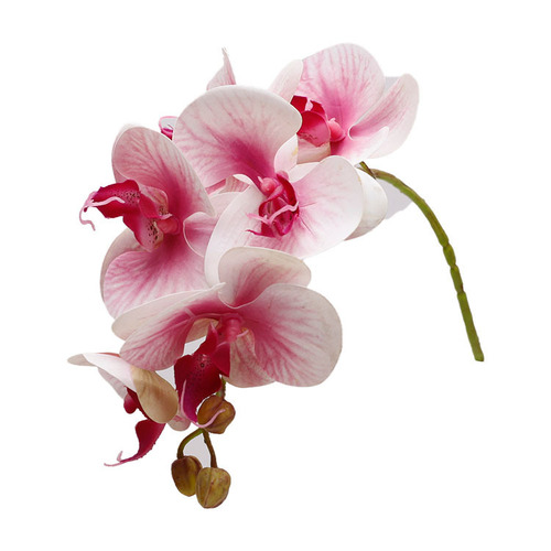 New plastic simulated 3D Phalaenopsis, wedding decorations, petals, props, fake flowers, small bouquets of Phalaenopsis simulated flowers