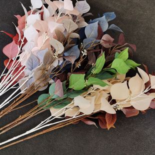 �S�����l���滨�����~��c�Y���b�ˇ�廨��������ֲ����~