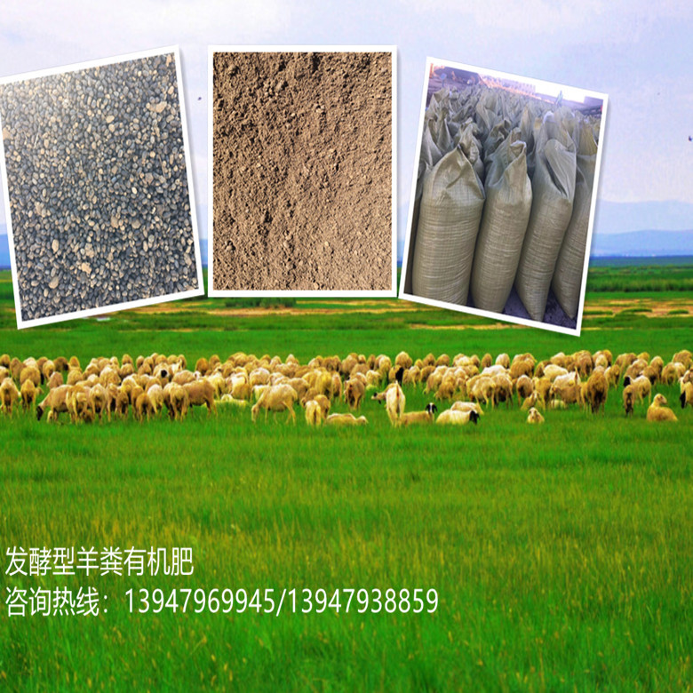 内蒙古锡林郭勒盟锡林浩特市美城有机肥厂常年销售纯发酵羊粪肥