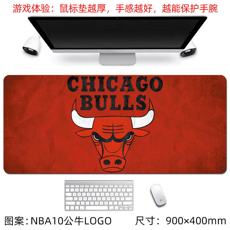 NBA10 불스 로고