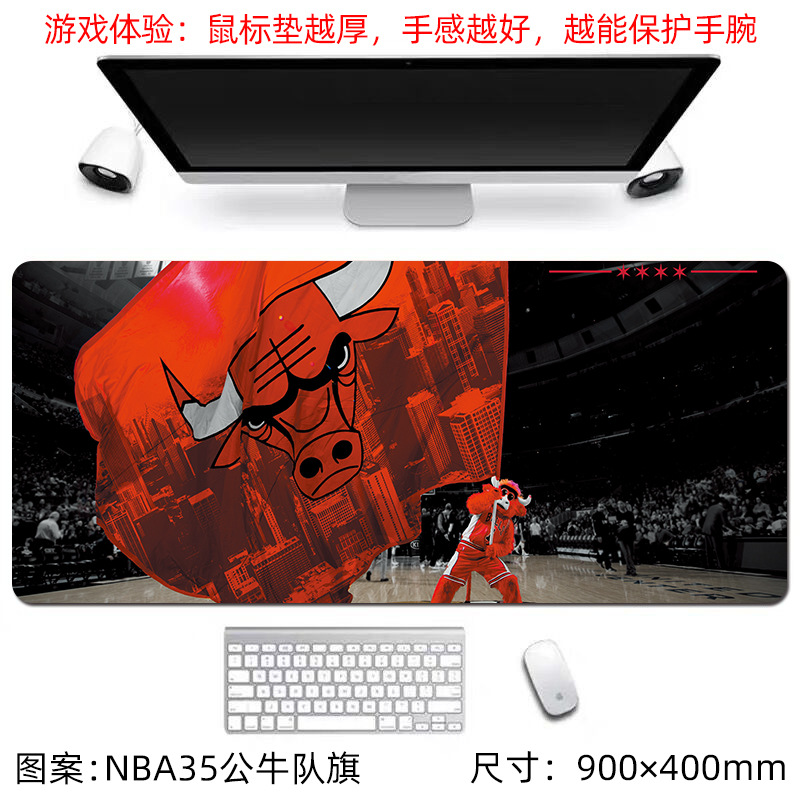 NBA35 불스 깃발