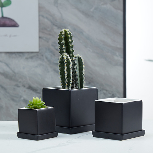 Pottery wholesale simple modern with base tray for home desk office decoration succulent pottery pot