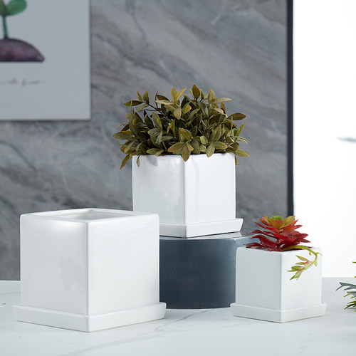 Pottery wholesale simple modern with base tray for home desk office decoration succulent pottery pot