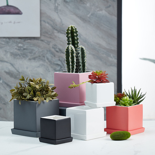 Pottery wholesale simple modern with base tray for home desk office decoration succulent pottery pot