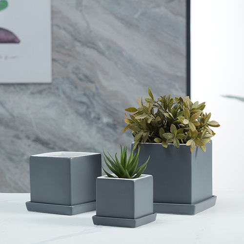 Pottery wholesale simple modern with base tray for home desk office decoration succulent pottery pot
