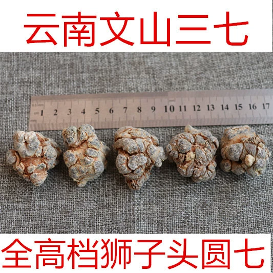 Юньнань Вэньшань Весна Notoginseng Высококачественная голова льва круглая живое поле семь футов сухая шляпа семь с ножницами сферические оптом