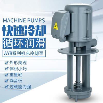 机床冷却泵三相电泵磨床水泵线切割泵铣床水泵加工中心水泵AYB-25|ms