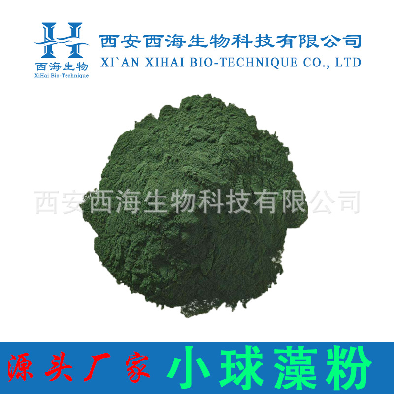 小球藻粉 破壁小球藻粉 小球藻提取物 蛋白核小球藻水溶包邮现货
