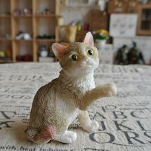 {Ƥ؈ ؈[ նY ֬ˇƷS ģ