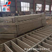 ���ͲͨӍ��|�� �X�Ͻ�W���� ���NҎ���L��O�����