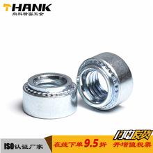 �S�����] �h���F���XM3 M4 M5 M6 M8 ���T��ĸ