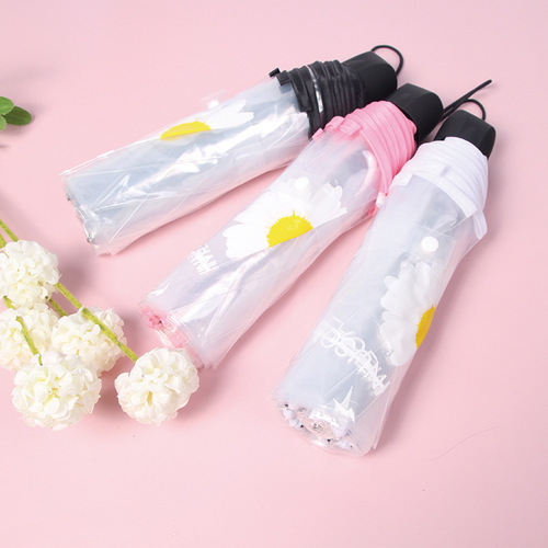 Daisy automatic umbrella white transparent umbrella ins Japanese student folding umbrella transparent umbrella wholesale