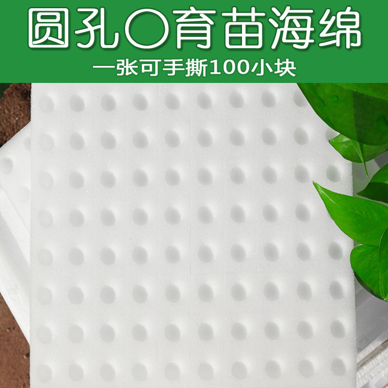 Round Hole Cross Hydroponic Sponge Seedling Root Fixer Soilless Cultivation Equipment Vegetable Greenhouse Seedling Block Seedling Sponge
