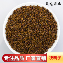 天龙茶业大货批发决明子散装 炒制决明子茶枕头厂家量大从优