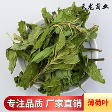 天龙茶业花草茶清凉茶/批发/花茶/薄荷叶/干薄荷粒/散装量大从优