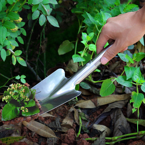 Garden shovel stainless steel shovel household steel shovel gardening tool manufacturer direct sales flower shovel flower planting shovel small shovel