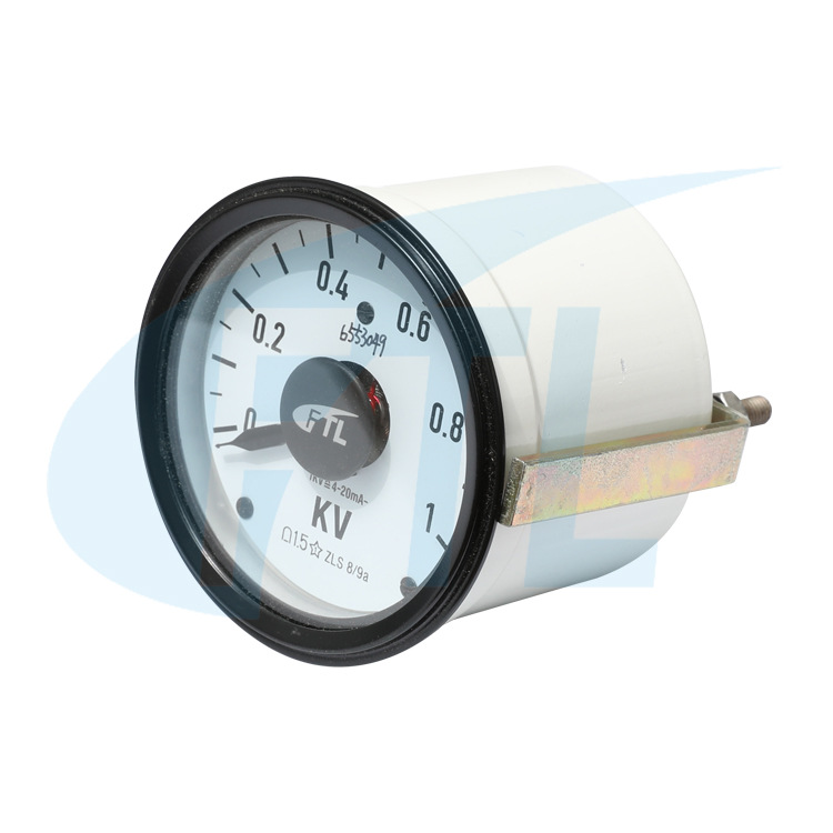 地铁单针网压表、电压表ZLS8/9a(ENG8/9a)-1kV