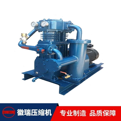 New Ammonia Compressor 2.0 Direct-Connected Special Gas Compressor Piston Refrigeration Air Compressor (Hava kompressorları)