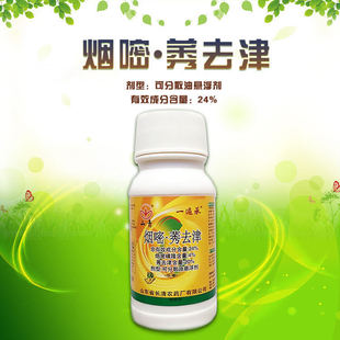 ����ݬȥ����������݄�����p�������ݵͶ����׌���