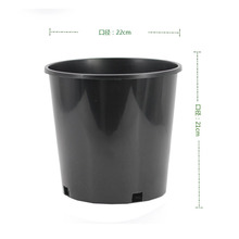 Sֱ2Ӂ AμӺɫԻطNֲ2Ӂ l