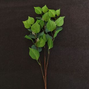 �S�����l�������~��c�Y���b�ˇ�廨����ֲ����~E18