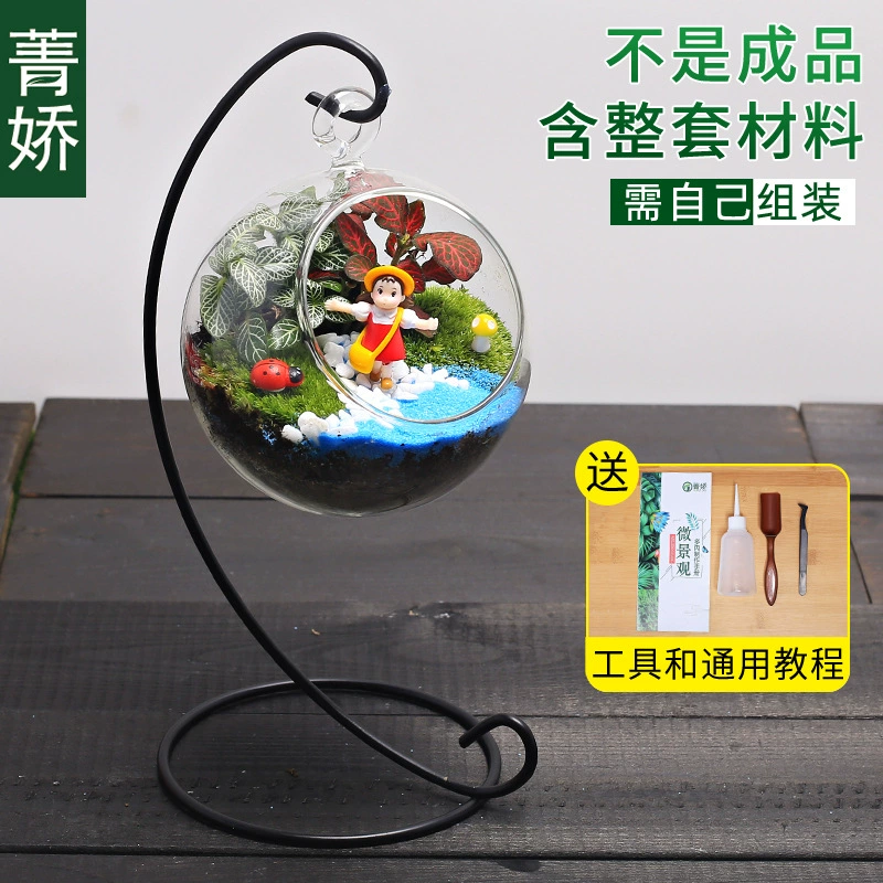 Micro landscape, table glass materials set, DIY, Birthday gift