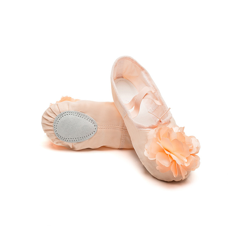 Dance Shoes Adult Children's Men's And Women's Ballet Soft-soled Practice Sh, Yoga For Physical Training, Floral Cat Paw Dance_voghion.com