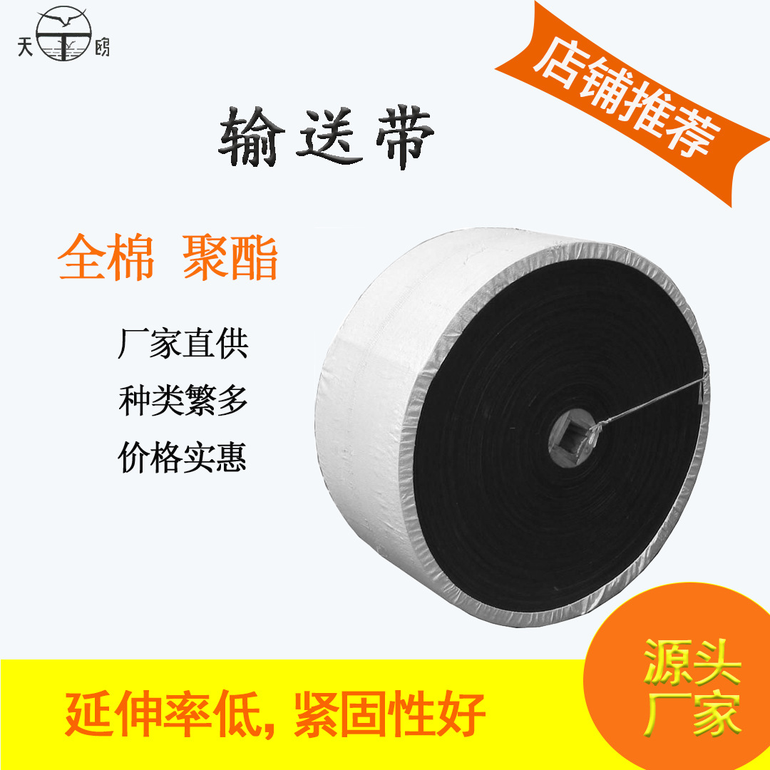 普通尼龙NN输送带聚酯布 整芯阻燃输送带橡胶工业皮带