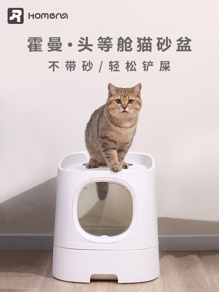 Стандартное издание песчаного бассейна Hogman Cat