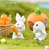 Cartoon cute rabbit, decorations with accessories, carrot accessory, resin, jewelry, micro landscape