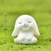 Cartoon cute rabbit, decorations with accessories, carrot accessory, resin, jewelry, micro landscape