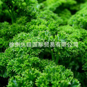 ���͌��������{ζ�˼��b����߲�--���|�M�ښW��(���ۣ��N��
