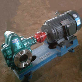 2CG12/0.6高温泵自吸泵电动高温高压油泵液压齿轮泵微型高压泵