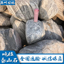 广东天然泰山石园林景观石驳岸鱼池假山石料石材小型花纹石泰山石