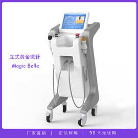 立式黄金微针美容仪 微针钛合金微针滚轮工厂电动微针仪