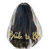 European and American BRIDE to be be be be bey -to -galloard hot single party veil European and American popular bride veil