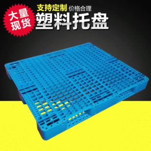 �L�ڹ��� �����бP  �W�����������ϗ����� ���_�p�������бP