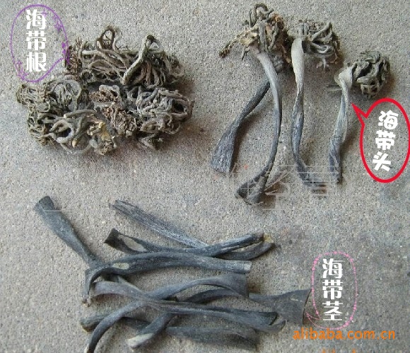 供应干海带头海带根海带茎可用食用工业饲料化肥等用途一件代发